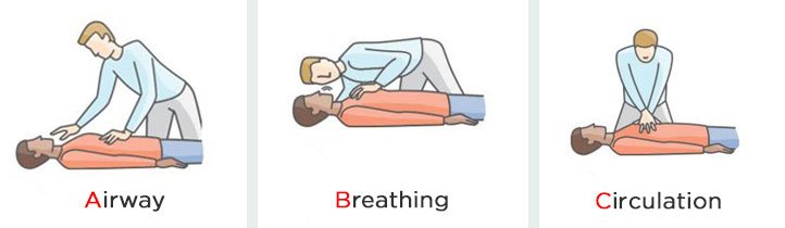 İlkyardım ABC'si: Hava yolu, solunum, dolaşım değerlendirmesi şeması