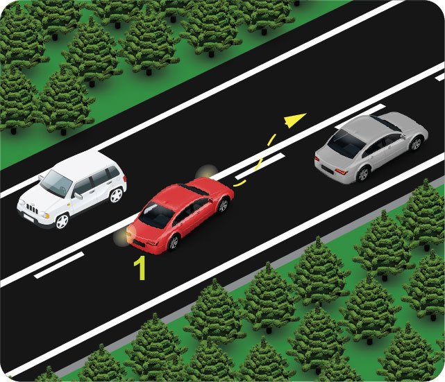 C seçeneği görseli