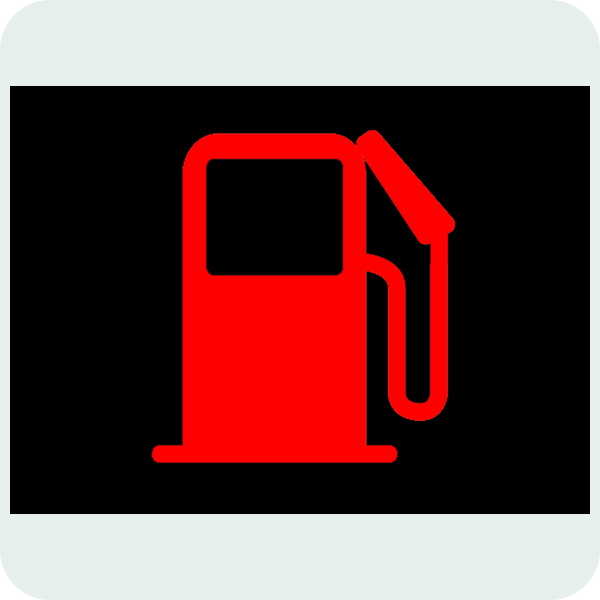 B seçeneği görseli